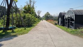 Land for sale in Sam Wa Tawan Tok, Bangkok