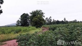 Land for sale in Nong Saeng, Chainat