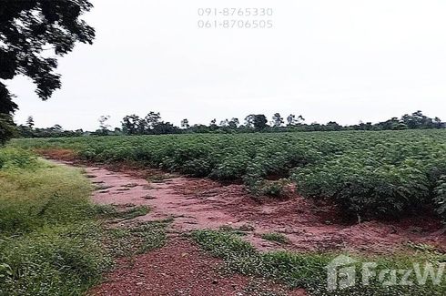 Land for sale in Nong Saeng, Chainat