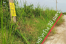 Land for sale in Chalongkrung Garden, Lam Phak Chi, Bangkok