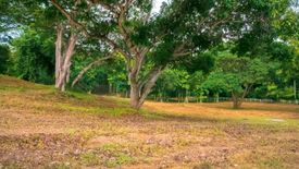 Land for sale in Rim Tai, Chiang Mai