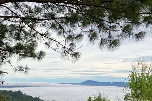 Land for sale in Khao Kho, Phetchabun