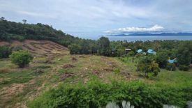 Land for sale in Mae Nam, Surat Thani