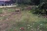 Land for sale in Mueang Thi, Surin