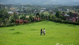 Land for sale in Khaem Son, Phetchabun