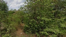 Land for sale in Don Tum, Nakhon Pathom