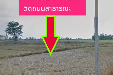 Land for sale in Chakkarat, Nakhon Ratchasima