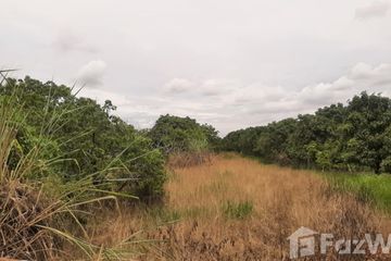 Land for sale in San Phak Wan, Chiang Mai