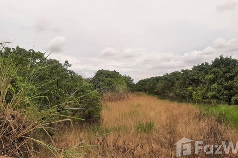 Land for sale in San Phak Wan, Chiang Mai