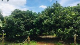 Land for sale in Nam Phrae, Chiang Mai