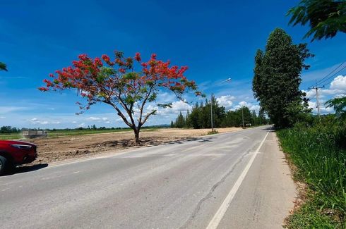 Land for sale in Huai Sai Nua, Phetchaburi