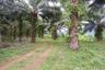 Land for sale in Bang Wan, Phang Nga