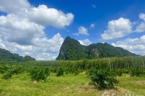 Land for sale in Khao Yai, Krabi