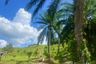 Land for sale in Khao Yai, Krabi
