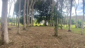 Land for sale in Thep Krasatti, Phuket