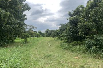 Land for sale in Nam Phrae, Chiang Mai