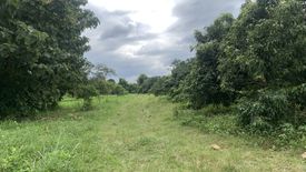 Land for sale in Nam Phrae, Chiang Mai