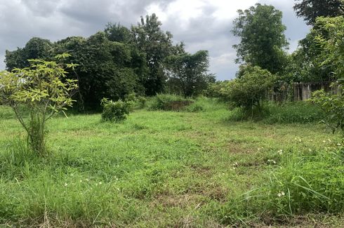 Land for sale in Nam Phrae, Chiang Mai