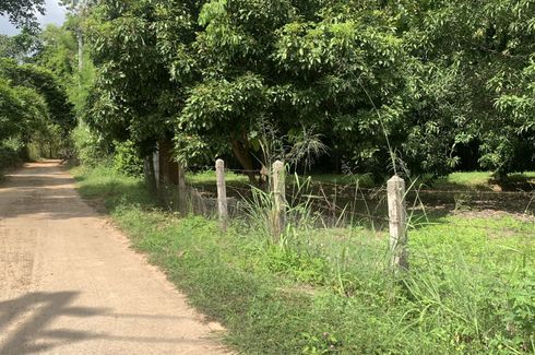 Land for sale in Nam Phrae, Chiang Mai