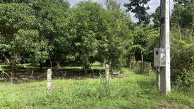 Land for sale in Nam Phrae, Chiang Mai