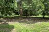 Land for sale in Nam Phrae, Chiang Mai