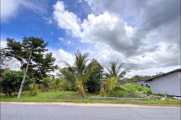 Land for sale in Sakhu, Phuket