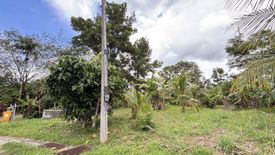 Land for sale in Sakhu, Phuket