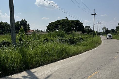 Land for sale in Nong Kaeo, Chiang Mai