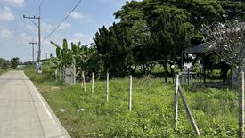 Land for sale in Nong Kaeo, Chiang Mai