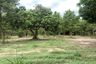 Land for sale in Nam Phrae, Chiang Mai