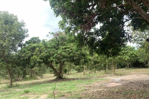 Land for sale in Nam Phrae, Chiang Mai