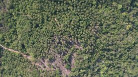 Land for sale in Maret, Surat Thani