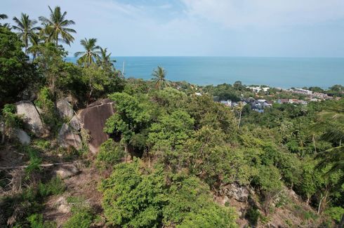 Land for sale in Maret, Surat Thani