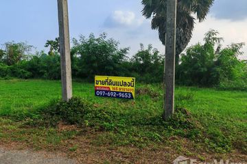 Land for sale in Rai Som, Phetchaburi