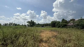 Land for sale in Salalai, Prachuap Khiri Khan