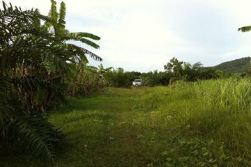 Land for sale in Pa Khlok, Phuket