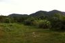 Land for sale in Pa Khlok, Phuket