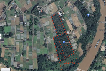 Land for sale in Rim Tai, Chiang Mai