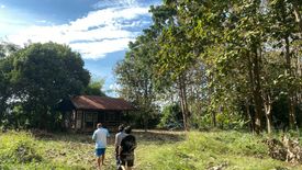 Land for sale in Rim Tai, Chiang Mai