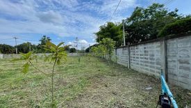 Land for sale in San Klang, Chiang Mai