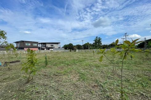 Land for sale in San Klang, Chiang Mai