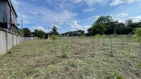 Land for sale in San Klang, Chiang Mai