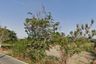 Land for sale in Huai Sai, Chiang Mai