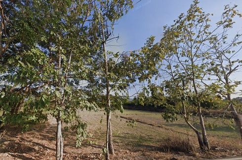 Land for sale in Huai Sai, Chiang Mai