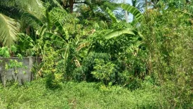 Land for sale in Lipa Noi, Surat Thani