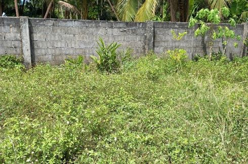 Land for sale in Lipa Noi, Surat Thani