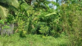 Land for sale in Lipa Noi, Surat Thani