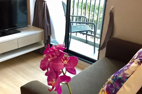 1 Bedroom Condo for sale in Zcape condo, Choeng Thale, Phuket