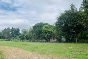 Land for sale in Nam Phrae, Chiang Mai