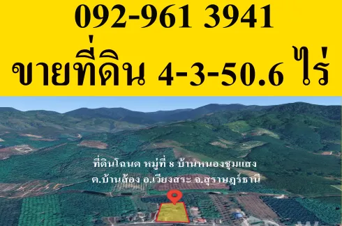 Land for sale in Ban Song, Surat Thani